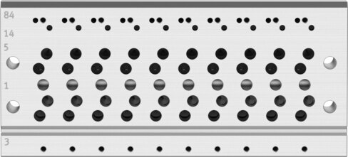 Manifold rail