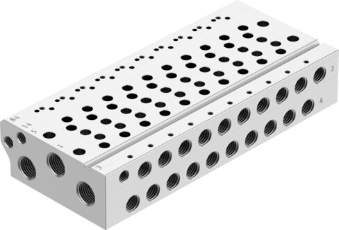 Manifold rail