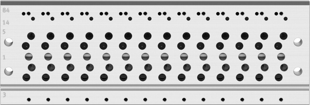 Manifold rail