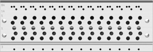Manifold rail