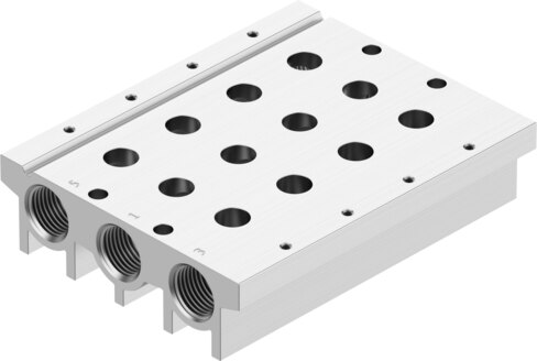 Manifold rail