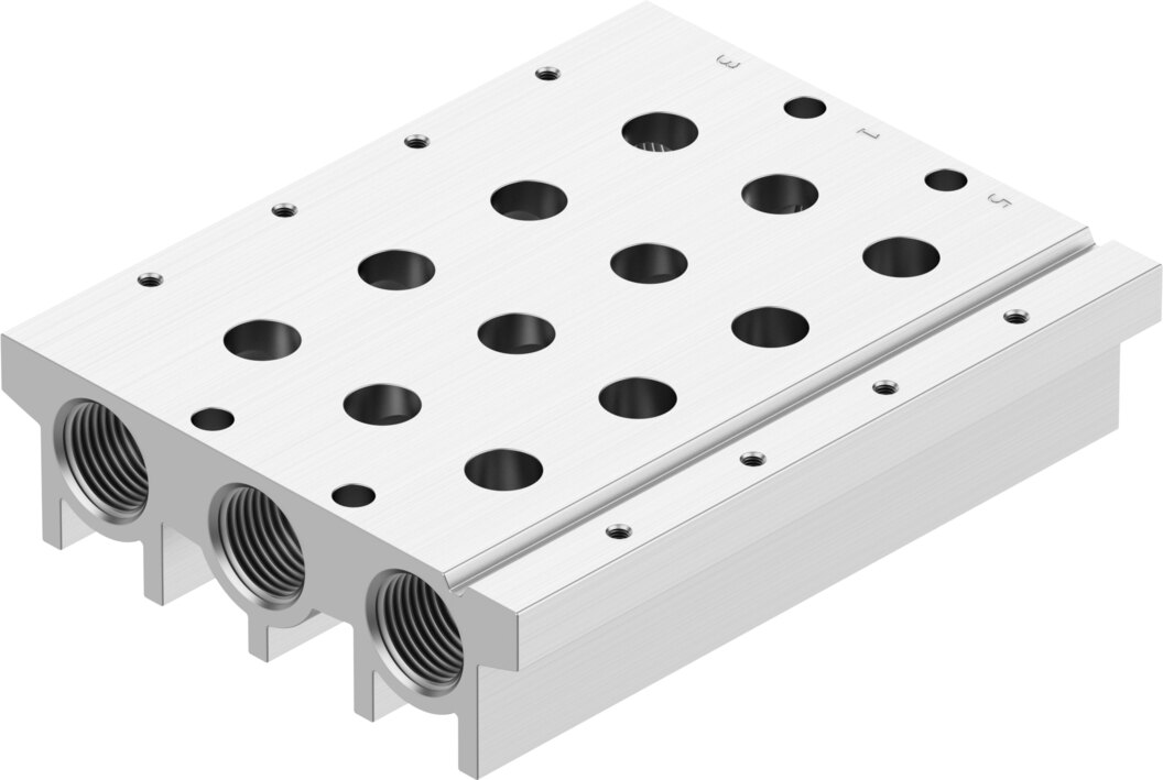 Manifold rail