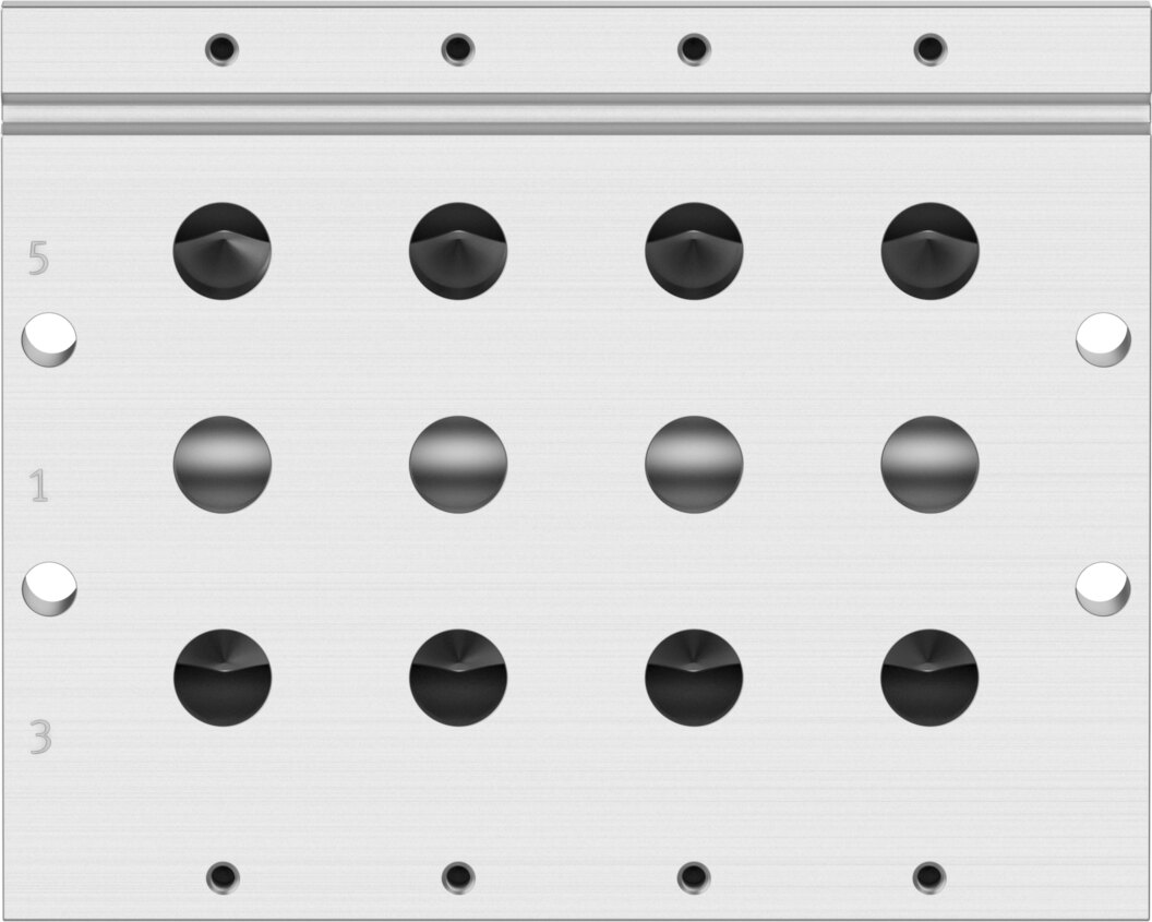 Manifold rail
