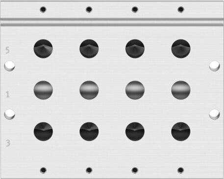 Manifold rail