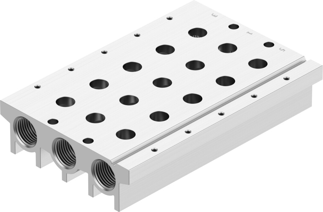 Manifold rail