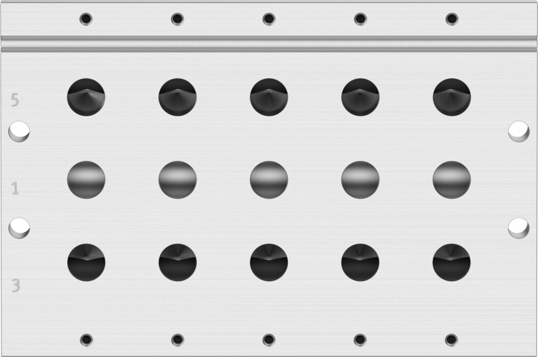 Manifold rail