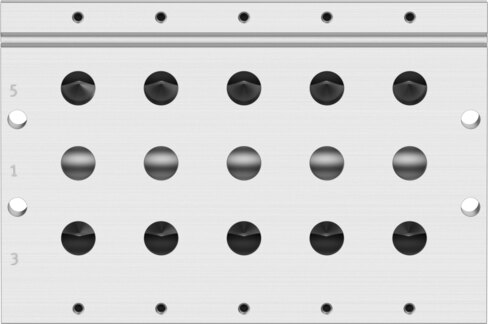 Manifold rail