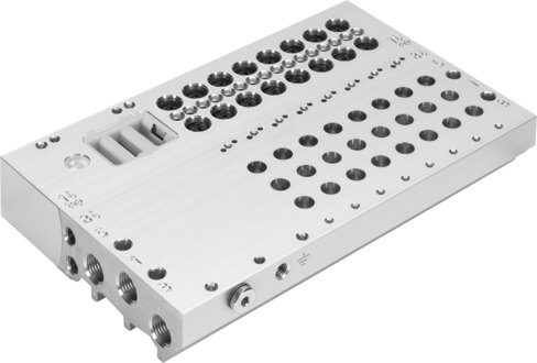 Manifold rail