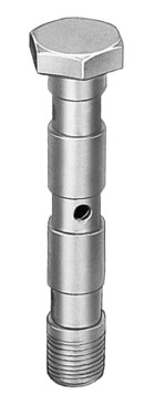 Hollow bolt