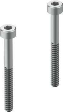 Conjunto de tornillos