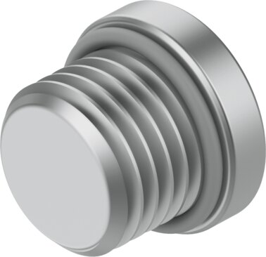 Plug screw