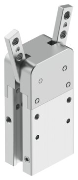 Pinza angular