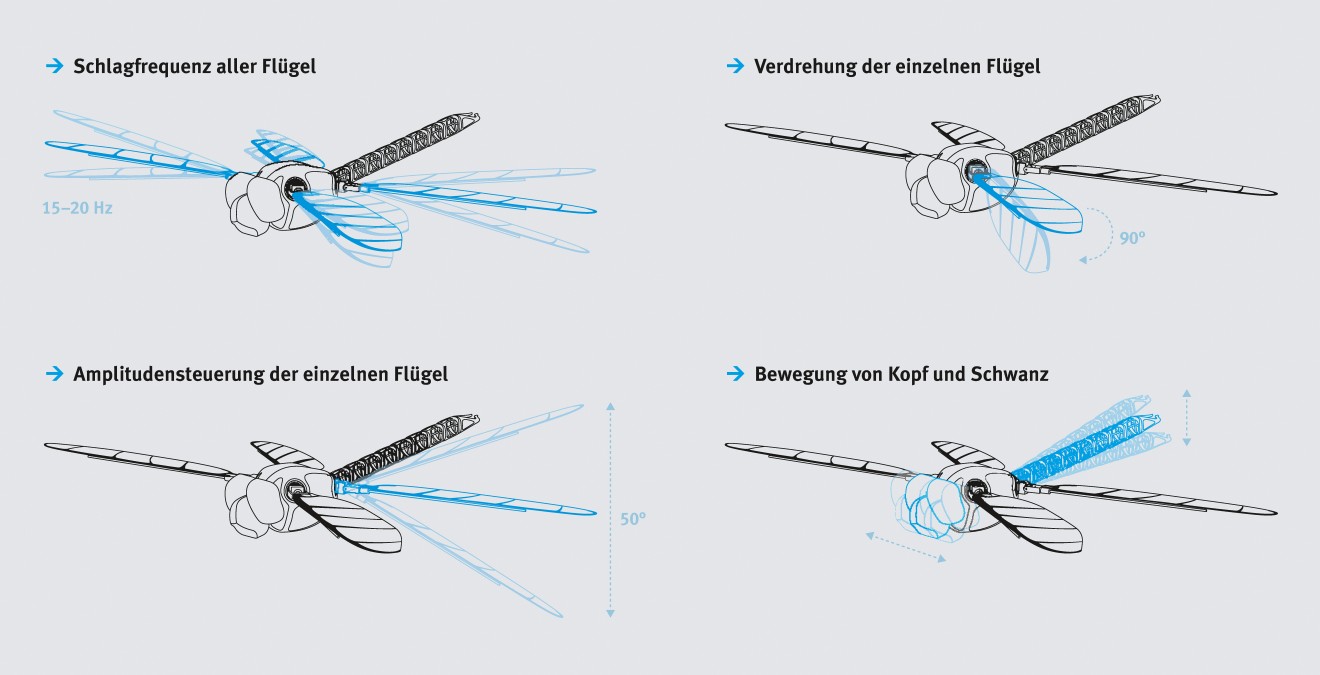 BionicOpter: Mit den neun Freiheitsgraden der Flügel lässt sich jeder von ihnen gezielt einstellen und bewegen 
