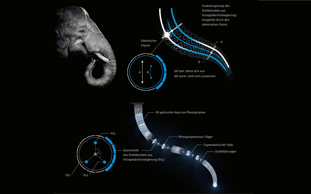 Infografik Bionic E-Trunk