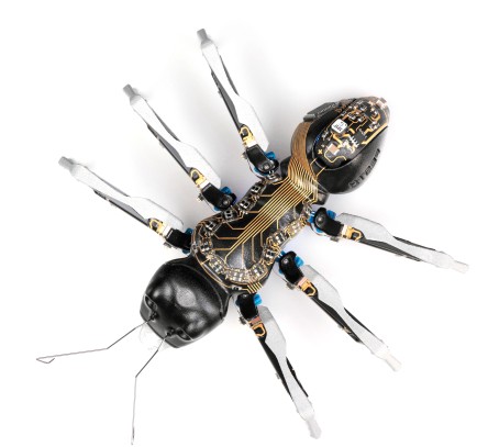 Bionic ant