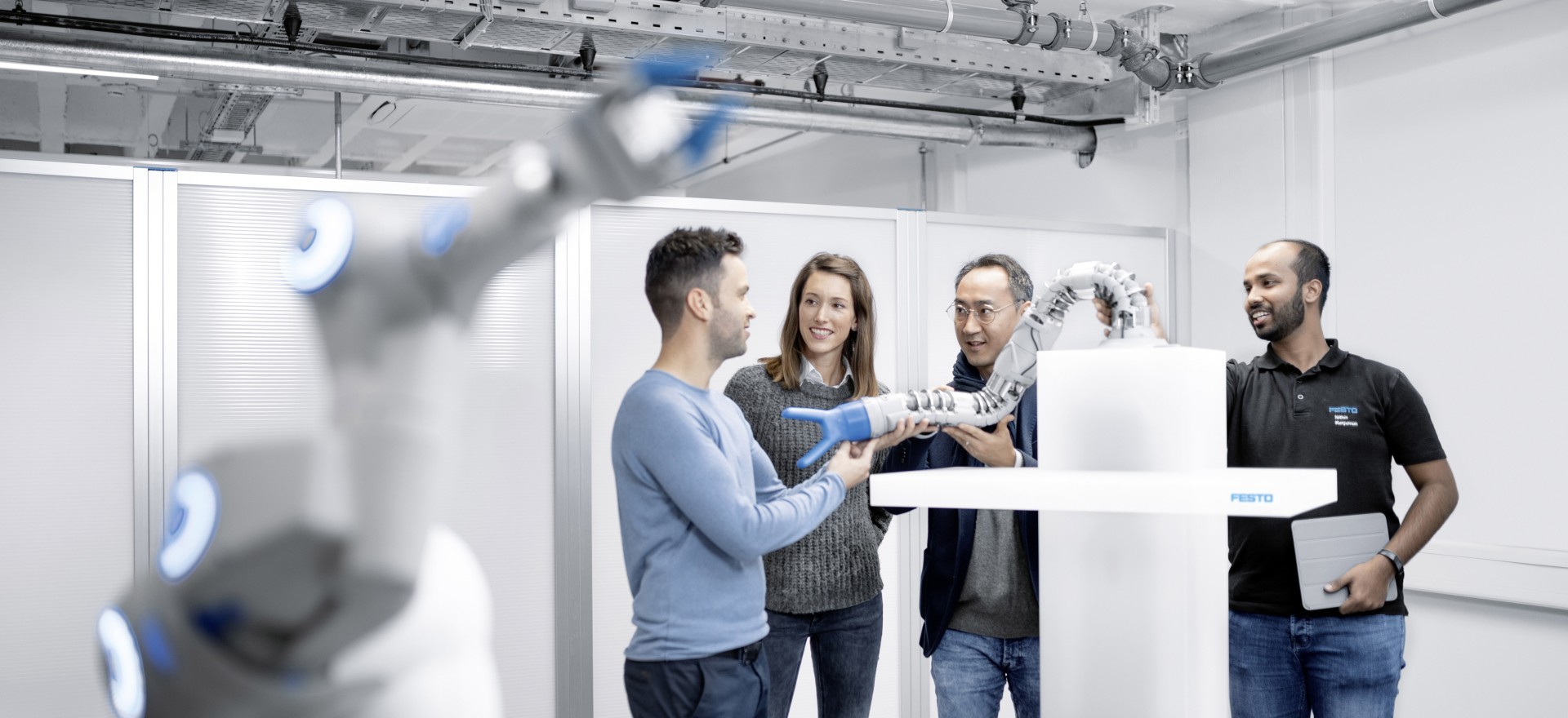 Festo: áreas profesionales