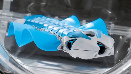 BionicFinWave：利用超音波達成無碰撞游動 