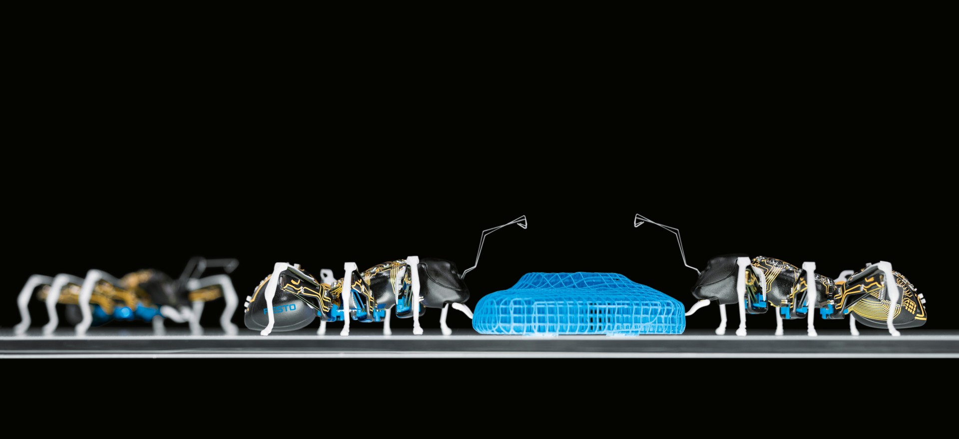 BionicANTs da Festo: comportamento cooperativo inspirado num modelo natural 
