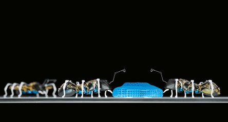 BionicANTs : comportement coopératif basé sur un modèle naturel
