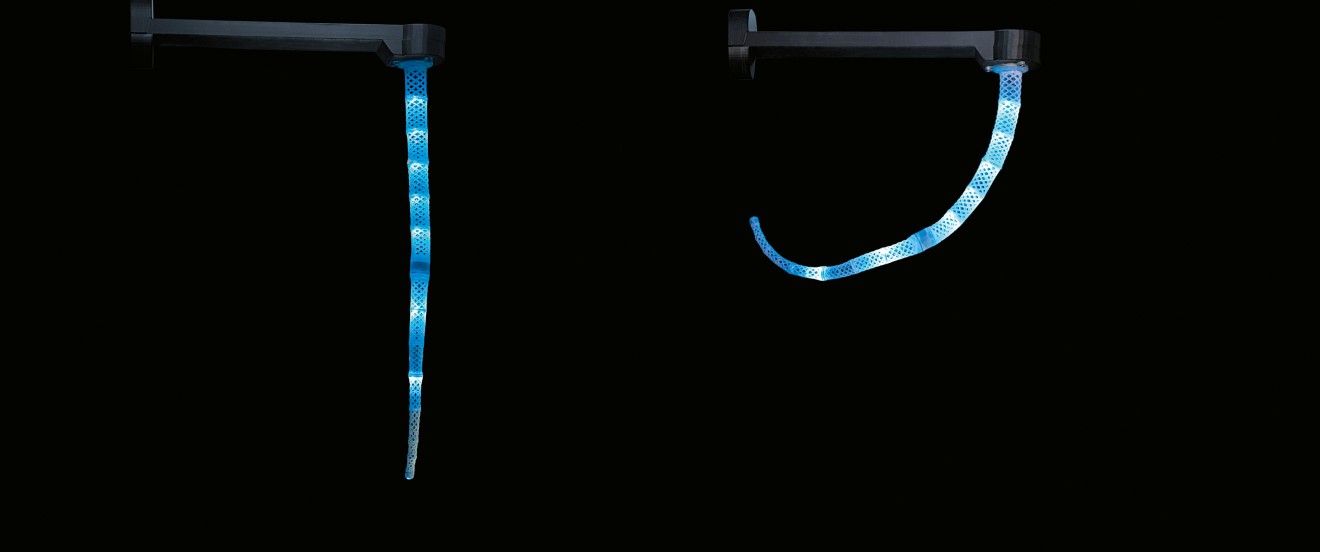 Bionic E-Trunk: Bewegungskonzept nach natürlichem Vorbild