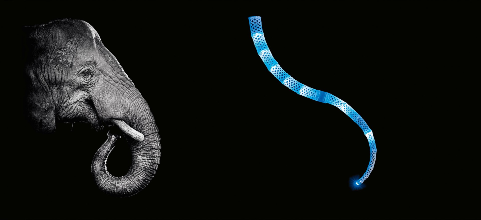 Elephant trunk outlet robotic arm