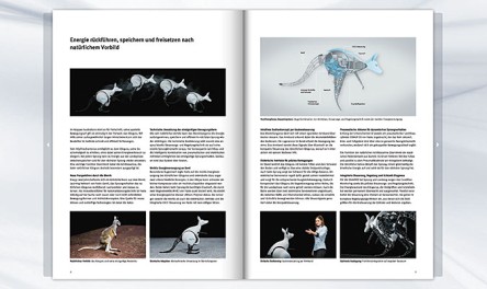 Brochure BionicKangaroo