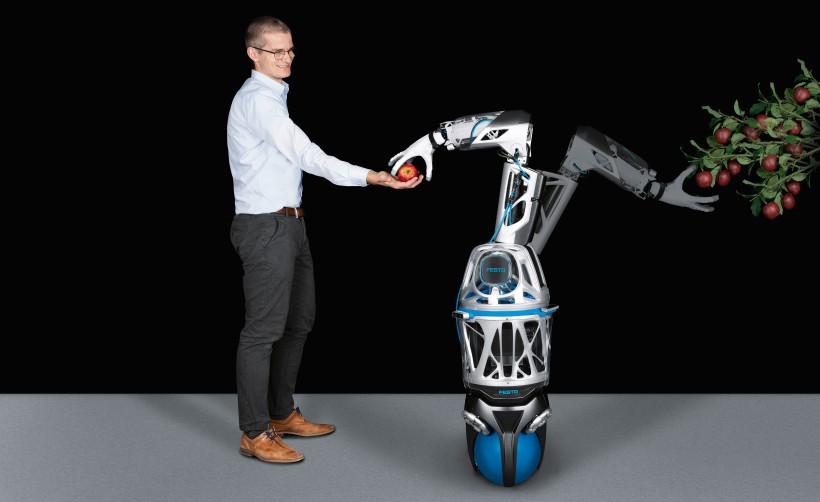 Festo bionic robot discount