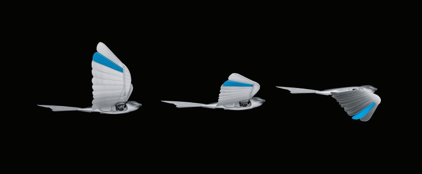 BionicSwift: aerodynamisches Gefieder für effizienten Flugbetrieb