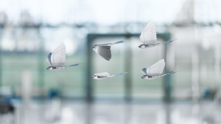 Festo sales bionic bird