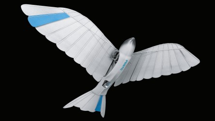 BionicSwift Festo AT