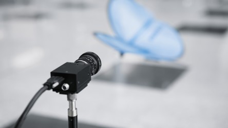 Festo sales emotion butterflies