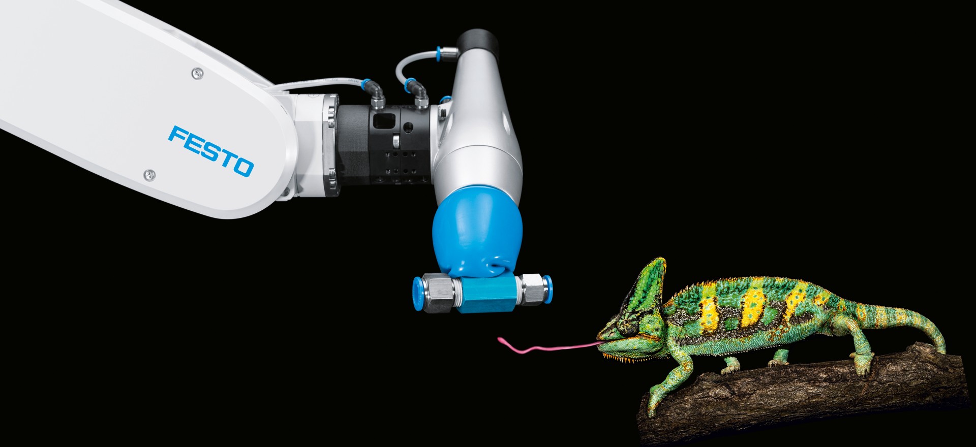 Festo FlexShapeGripper: gripping modelled on a chameleon’s tongue 