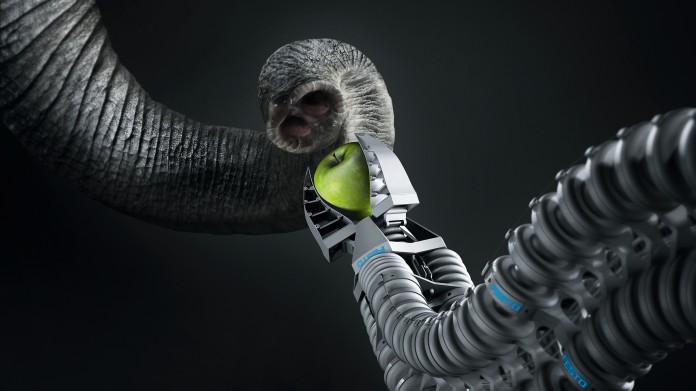Festo bionic animals sales