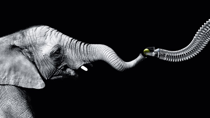 Festo bionic hand on sale