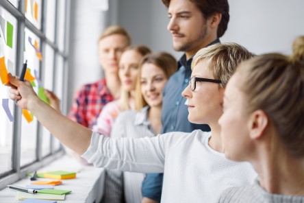 Tipos de proyectos