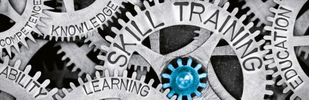 Skills-based training