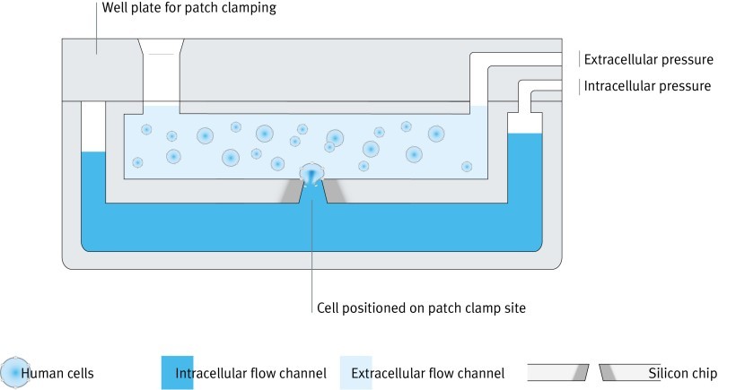 VTEP application: Dispensing, dosing or pumping via pressure or vacuum