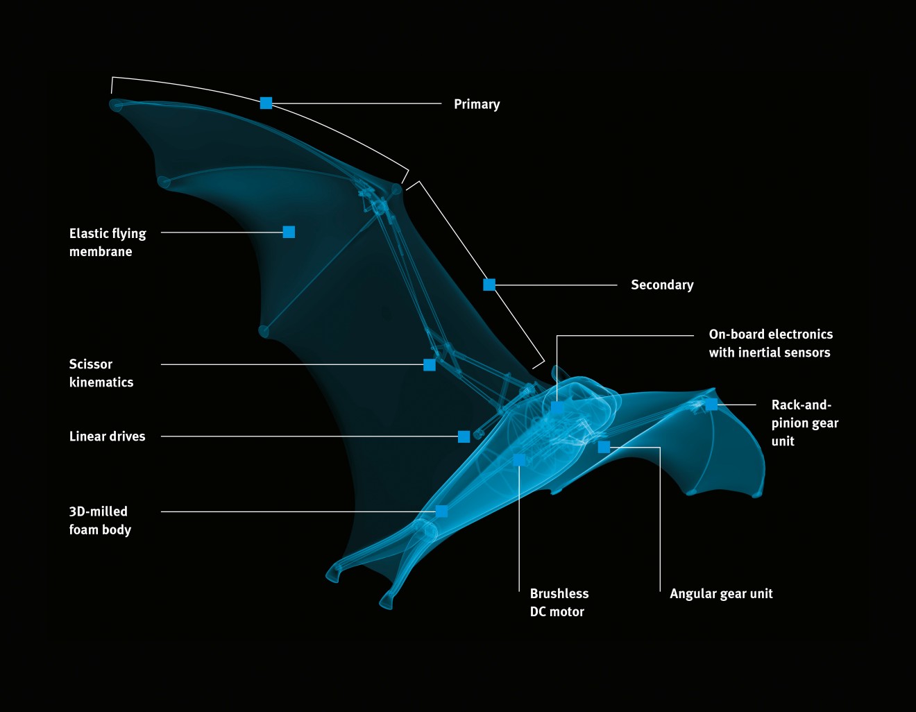 BionicFlyingFox: la electrónica de a bordo del tronco combinada con la mecánica de las alas