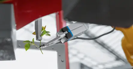End-of-arm solutions for agriculture​