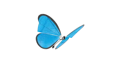 eMotionButterfly