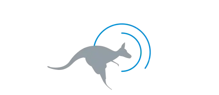 Bionic Learning Network