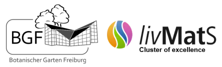 Logotipo do Cluster de Excelência 