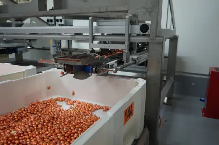 Mondelez-Eier in der Kiste