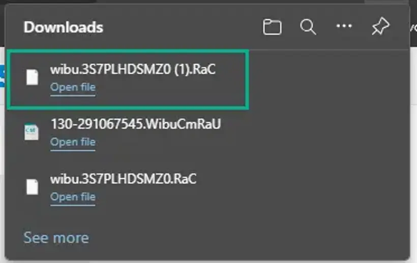 Browser download panel showing the downloaded file