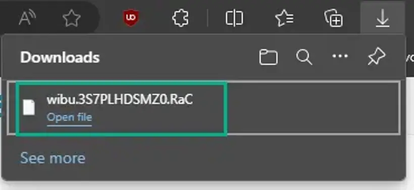 Browser download panel showing the downloaded file