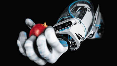 Bionic Handling Assistant