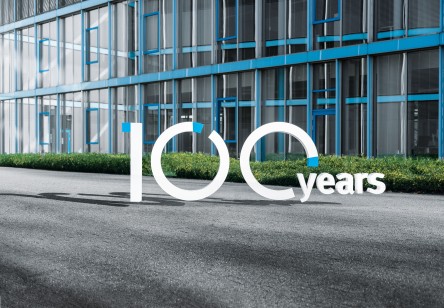 Festo 100