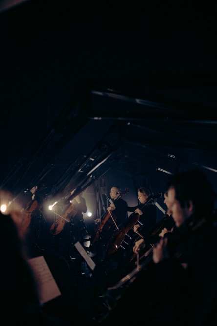 Cocon Cello 2