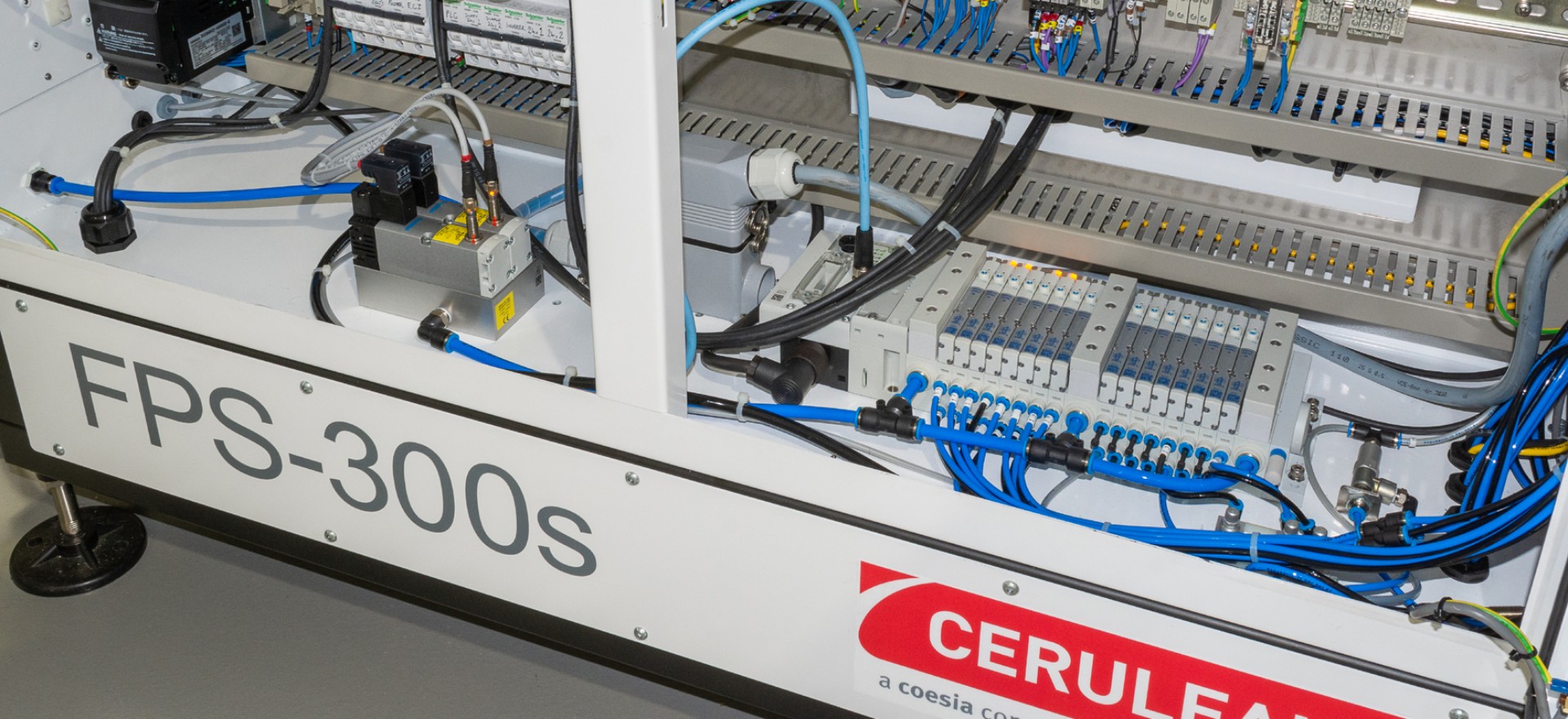 Cerulean Festo Automation 