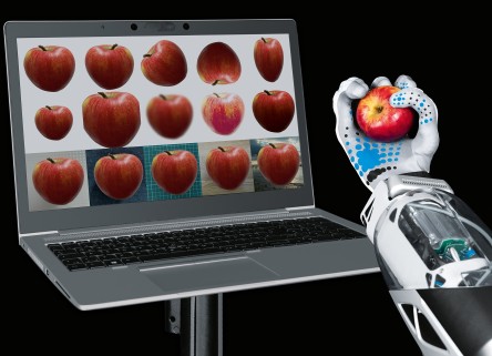 Festo Food Robotics